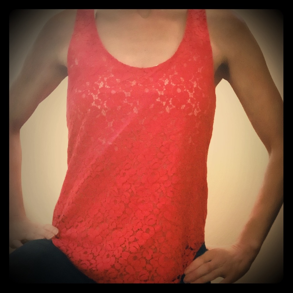 Gorgeous coral tank